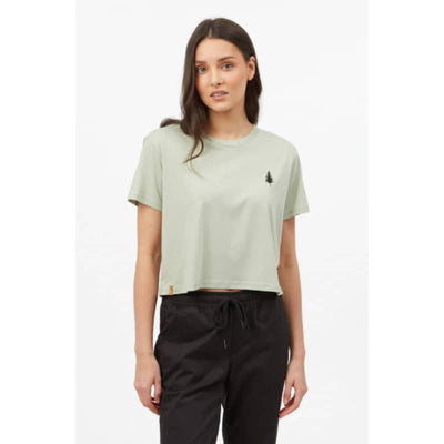 Tentree Women’s Golden Spruce Crop T-Shirt - X Small / 